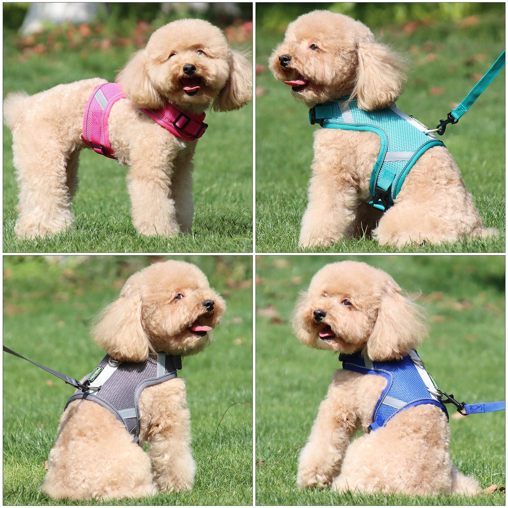 dog Harness and Leash Set for Cat and  Dog Harness Soft Mesh Puppy Harness Adjustable Cat Vest Harness with Reflective Stripe - Image #2